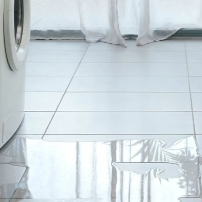 Appliance Leak Cleanup in Saint Leo, FL