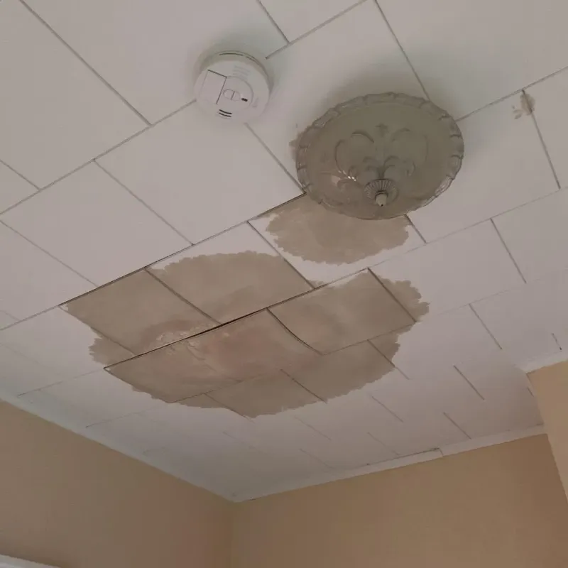 Ceiling Water Damage Repair in Saint Leo, FL