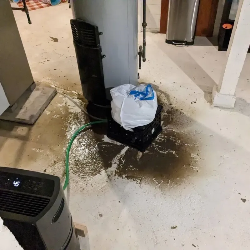 Sewage Backup Cleanup Service in Saint Leo, FL